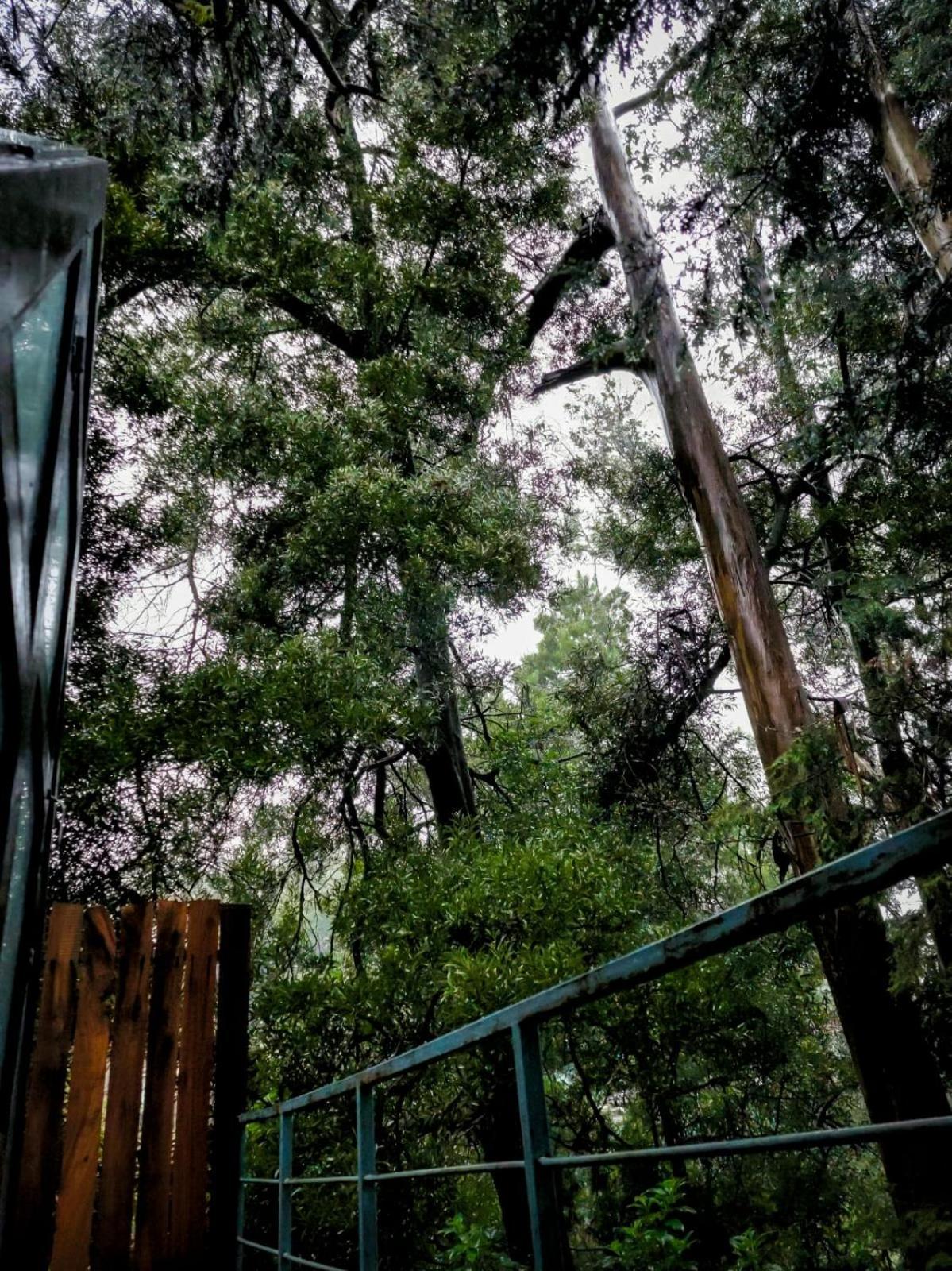 Woodhouse 호텔 우티 외부 사진